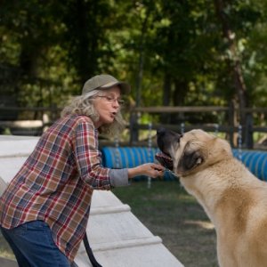 Ho cercato il tuo nome: Blythe Danner cerca di convincere il suo cane a muoversi in una scena del film