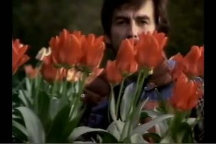 Trailer Italiano - George Harrison: Living in the Material World