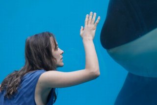 Rust and Bone: Marion Cotillard osserva i pesci in un acquario in una scena del film