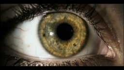 Video-recensione MalediMiele