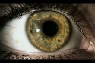 Video-recensione MalediMiele