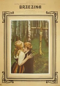 Locandina di Il bosco di betulle