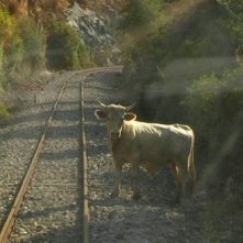 Cadenas: una buffa scena tratta dal film di Francesca Balbo