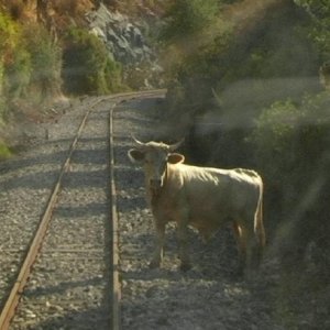 Cadenas: una buffa scena tratta dal film di Francesca Balbo