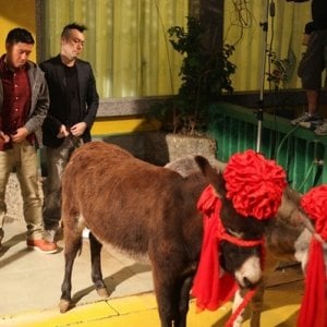 Vulgaria, una irriverente sequenza del film