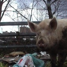 Napoli 24: uno squarcio della città partenopea in una scena del documentario diretto da 24 autori durante l'emergenza rifiuti