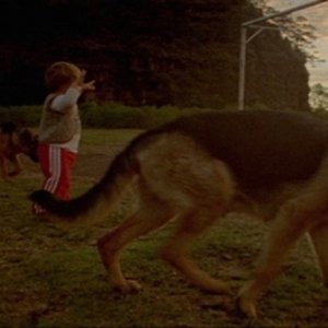 Post Tenebras Lux: una fanciullesca immagine tratta dal film diretto da Carlos Reygadas