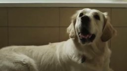 Trailer - Seis puntos sobre Emma