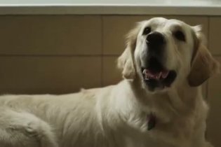 Trailer - Seis puntos sobre Emma