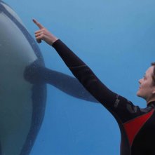Rust and Bone: Marion Cotillard in visita all'acquario in una scena del film