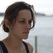 Rust and Bone: un intenso primo piano di Marion Cotillard tratto da un momento del film