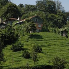 Polluting Paradise: una scena del documentario sulla distruzione del paradiso naturale della cittadina turca di Camburnu