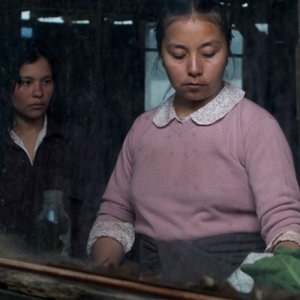 La Sirga: un'immagine tratta dal film diretto da William Vega