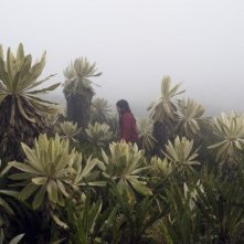 La Sirga: una scena del film