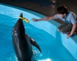Il Blu-ray di L'incredibile storia di Winter il delfino