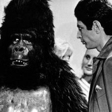 Jeff Goldblum in Grazie a Dio è venerdì