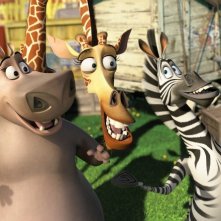Madagascar 3: ricercati in Europa, Melman, Marty e Gloria in una divertente scena