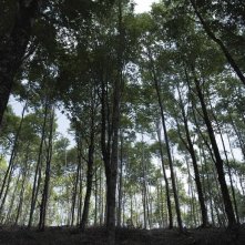 Paura: una scena del film