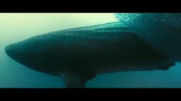 Trailer Italiano - La vita negli oceani