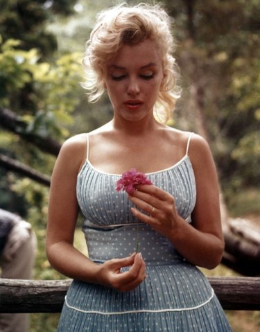 Una splendida immagine di Marilyn Monroe (1926-1962)