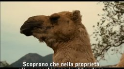 Featurette '20 seconds' - La mia vita è uno zoo