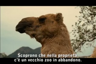 Featurette '20 seconds' - La mia vita è uno zoo