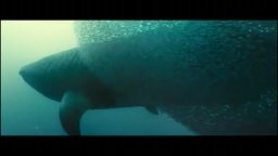 Video-recensione La vita negli oceani