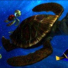 Alla ricerca di Nemo in 3D: Dory e Nemo in mezzo alle tartarughe in una scena del film
