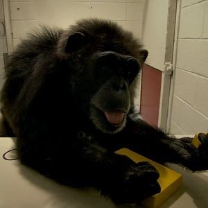 Surviving Progress: una scena del film