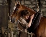 Il Blu-ray di War Horse