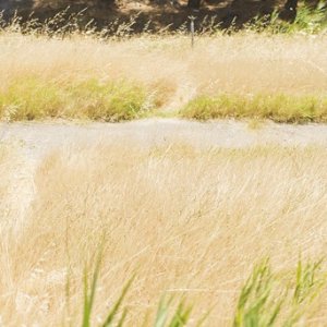 Una scena di Mare Chiuso (2012)