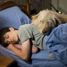 Diario di una schiappa 3 - Vita da cani: Zachary Gordon in una scena del film col suo cane Sweetie
