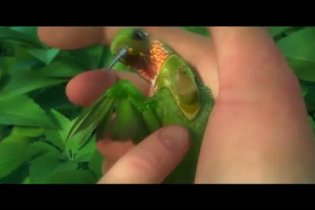 Trailer - Epic