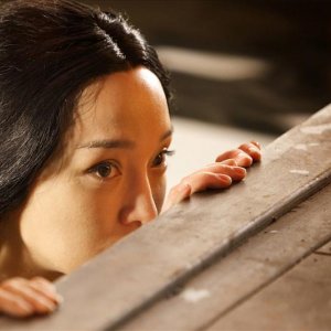 Zhou Xun in Painted Skin: The Resurrection