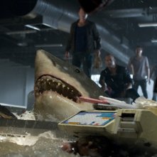 Bait: uno degli squali assassini del film