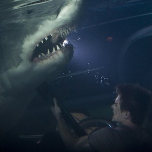 Bait: Xavier Samuel combatte contro uno degli squali assassini in una scena subacquea del film