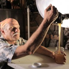 More Than Honey: il catturatore di api aggressive Fred Terry, anziché ucciderle le addestra a produrre il miele