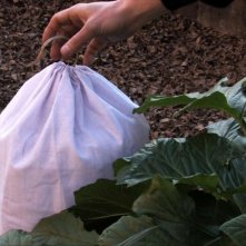 A Última Vez Que Vi Macau: una scena del film