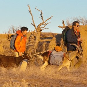 Ty Burrell, David Duchovny e una capra vagano nel deserto in una scena di Goats