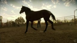 Trailer - Wild Horse, Wild Ride