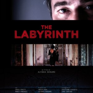 The labyrinth - Dvd cover