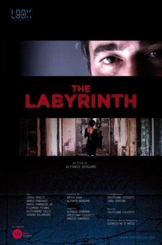 The labyrinth - Dvd cover