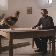 La cinquième saison: Sam Louwyck con una gallina in una scena del film