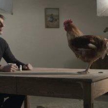 La cinquième saison: Sam Louwyck parla con una gallina in una scena del film