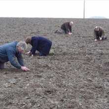 La cinquième saison: una suggestiva scena del film che raffigura la primavera