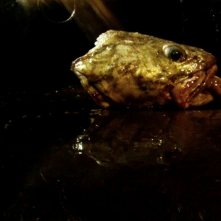 Leviathan: una scena del film