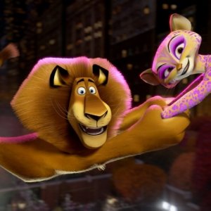 Madagascar 3: ricercati in Europa, Alex e Gia in un'acrobatica scena del film