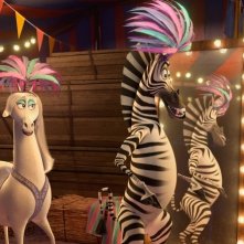 Madagascar 3: ricercati in Europa, Marty con le cavalle andaluse del circo in una scena del film