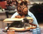 Alf arriva al cinema!