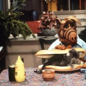 ALF si prepara un sostanzioso e singolare spuntino.